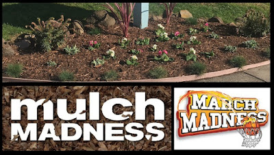 March Mulch Madness!