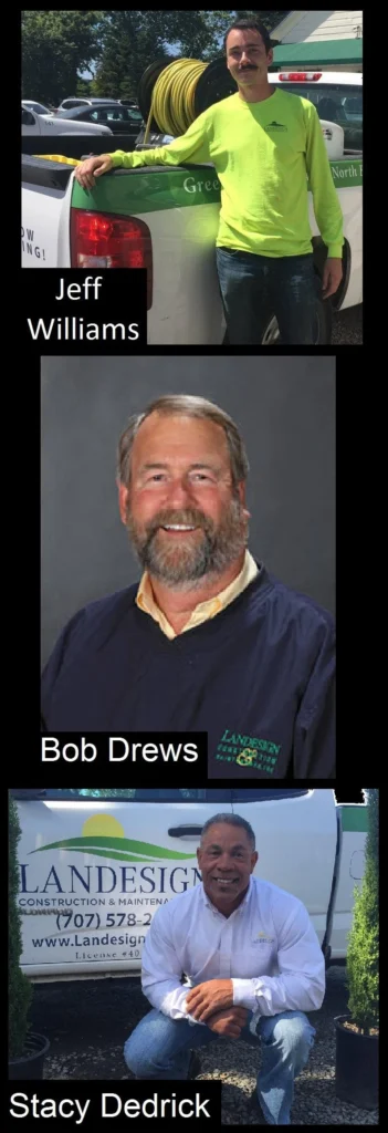 Celebrating Along The Way!