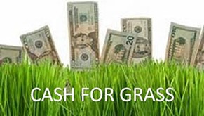 Cash for Grass Cash for Grass