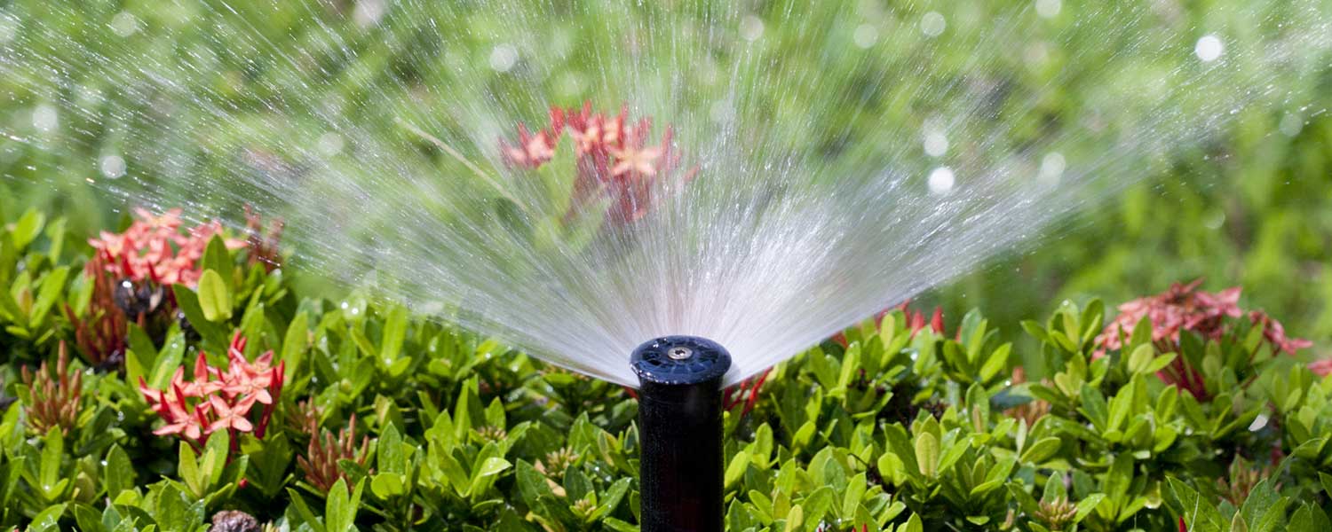 water management