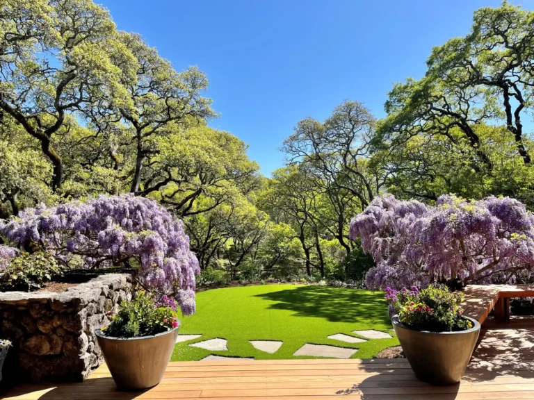 2023 Award Renovation Santa Rosa Estate