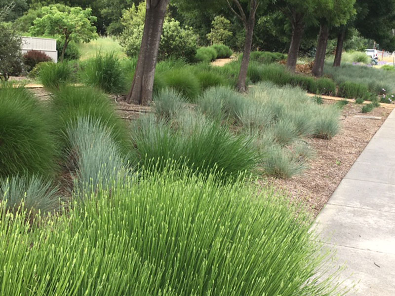 Quail Run HOA, Santa Rosa 1