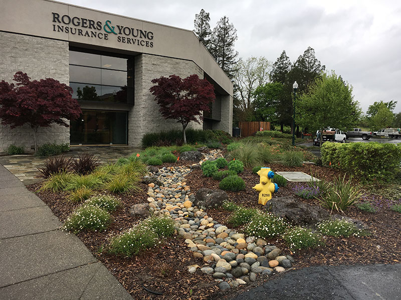 Rogers & Young 2