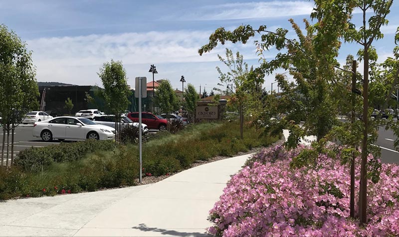 large commercial installation oxford suites rohnert park