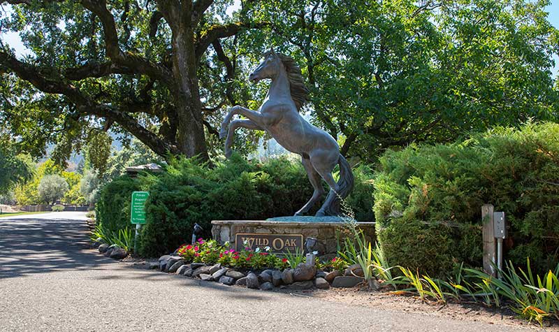 medium commercial maintenance wild oak saddle club santa rosa