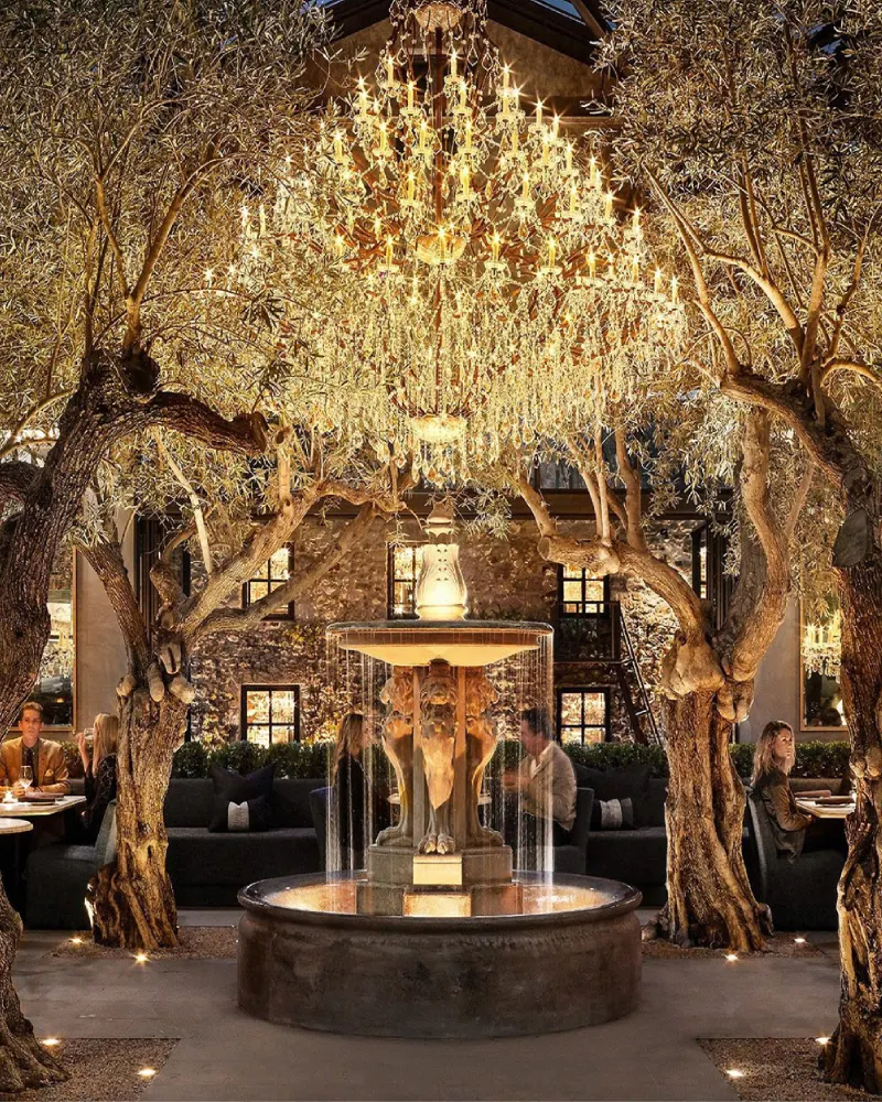napa gold 2019