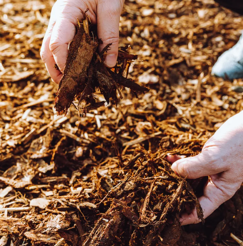 Mulching