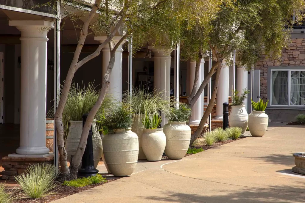 Gallery Pots at Meritage