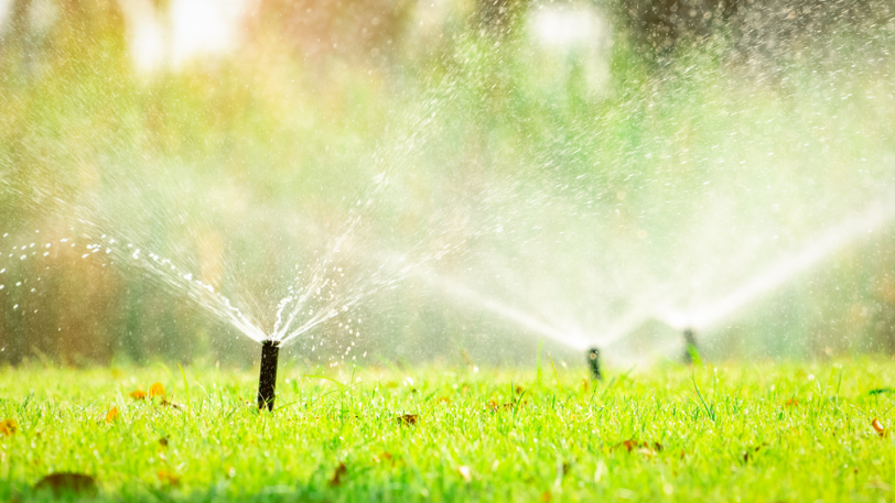 Automatic lawn sprinklers spray fine streams of water across a lush green grass field, creating a misty effect in bright sunlight.