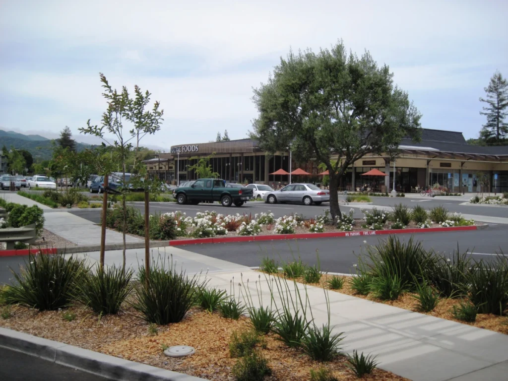 Retail Our Method Pacheco Plaza (replace photo)