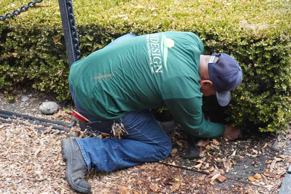 checking emitter