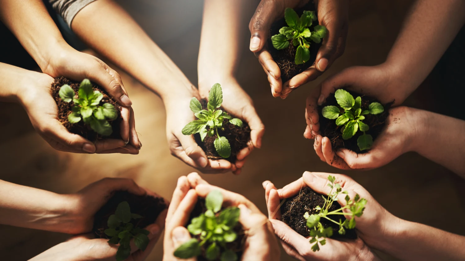7 Tips to Create a Sustainable Garden for Commercial Landscapes - Landesign