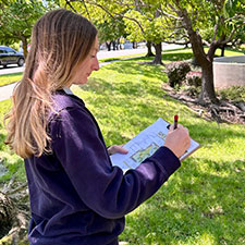 Initial Consultation