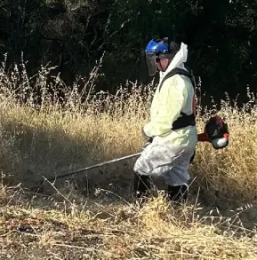 Vegetation Mgmt