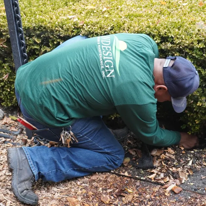 checking emitter (1)