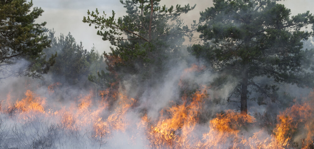 weed abatement fire danger