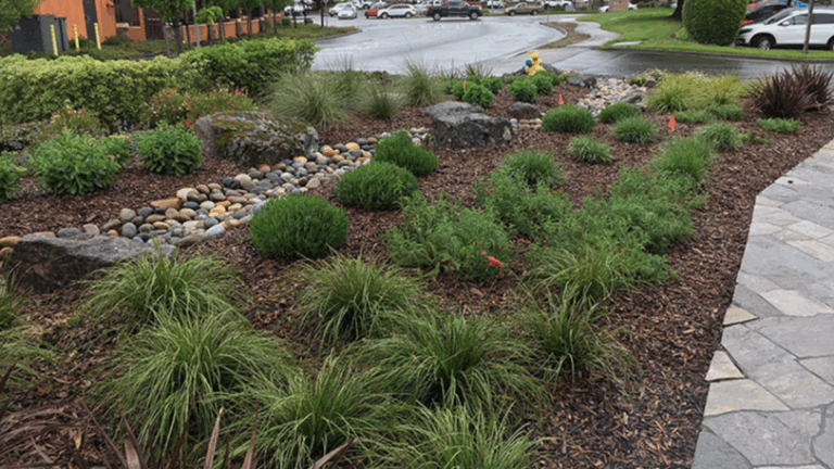 A lush landscape with mulch and river rock after rain.