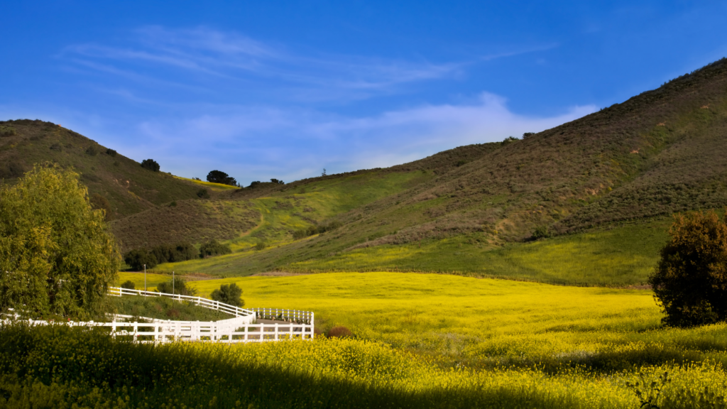 Reliable Landscaping Services in Santa Rosa