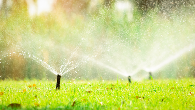 A bright green lawn with multiple sprinklers spraying lots of water onto it.