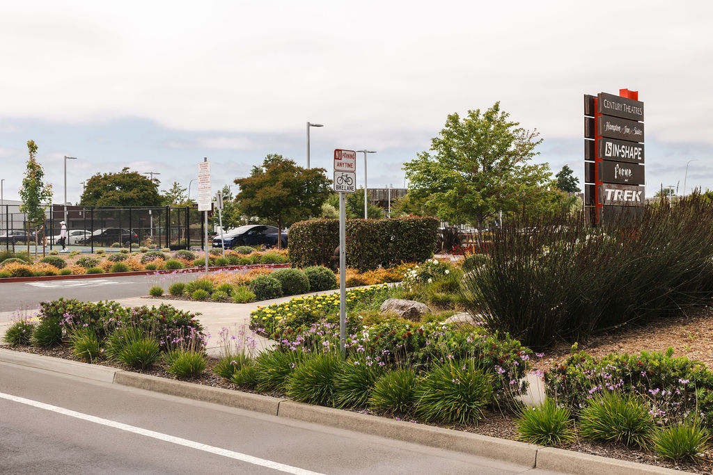 Commercial landscaping project completed in Napa - 2 