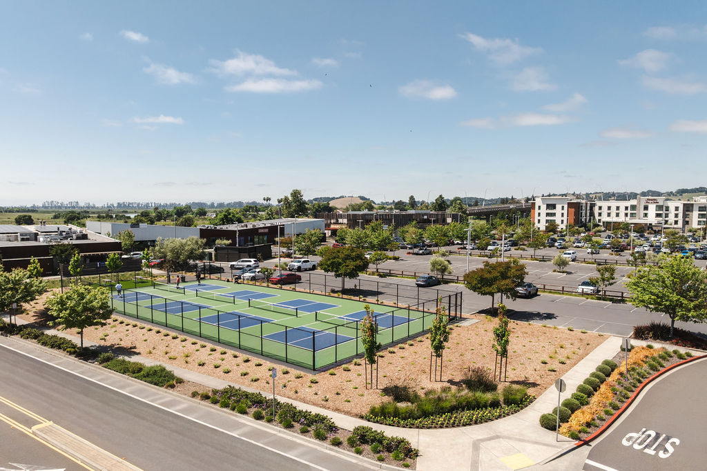 Professionally maintained commercial landscape at Napa property