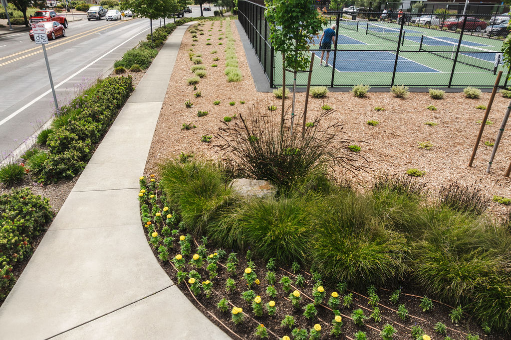 Commercial landscaping project completed in Napa - 3