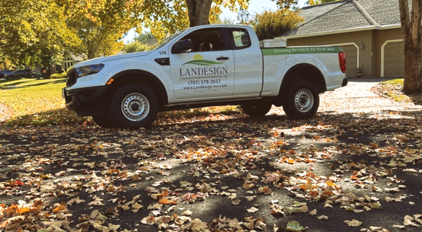 Landscaping company pickup truck parked on a residential driveway covered with fallen autumn leaves.