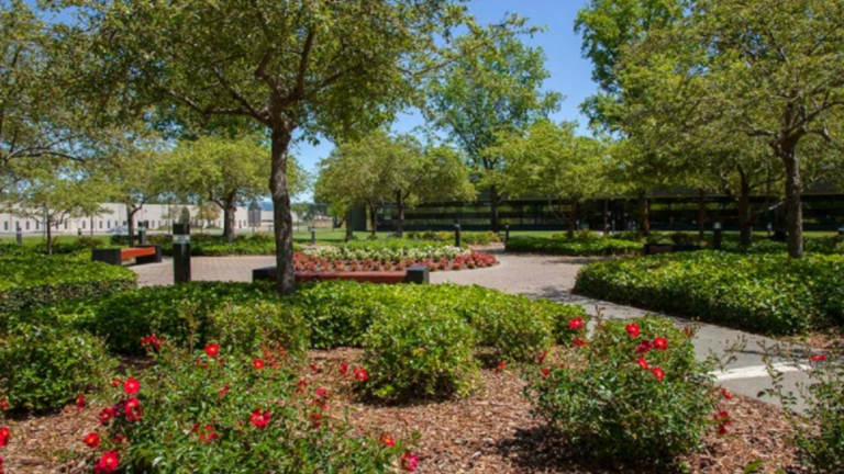 A commercial property with a landscaped walking path that has red flowers.